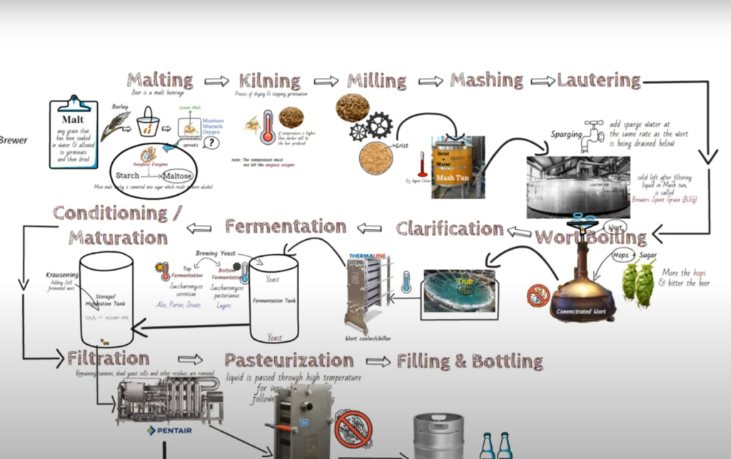 How Beer Is Made